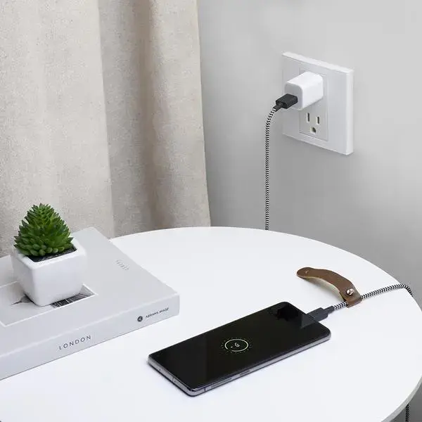 Кабель USB A → USB C Native Union BELT-AC-ZEB-NP Photo 3