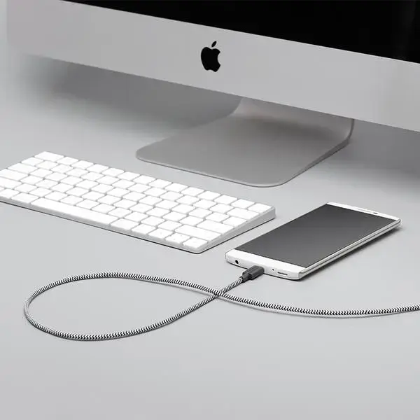 Кабель USB A → USB C Native Union BELT-AC-ZEB-NP Photo 4