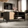 Кофейный стол cama meble MERCI 100x55x49 см Photo 2