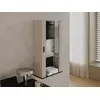 Sienas skapītis cama meble S2 SOHO 60x29x112 Photo 3