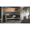 ТВ-тумба cama meble PORTO 2D 150×38×50 см Photo 3