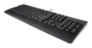 Lenovo 4Y41R64588 Vadu USB Tastatūra Pilna izmēra US English Melna Mājas/Biroja Plunžera taustiņi