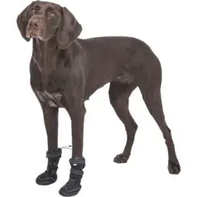 Носки для собак Trixie TX-19414 Photo 6