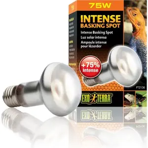 Reptile heat lamp Hagen Exo Terra Intense Spot 75W – spot bulb for focused heating