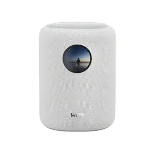 2-way Speaker WiiM Sound White — Wired & Wireless, 100 W RMS, 50–20000 Hz