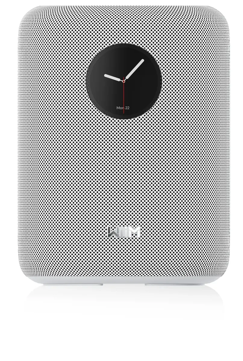 WiiM Sound 2-полосная колонка белая — 100 Вт Photo 2