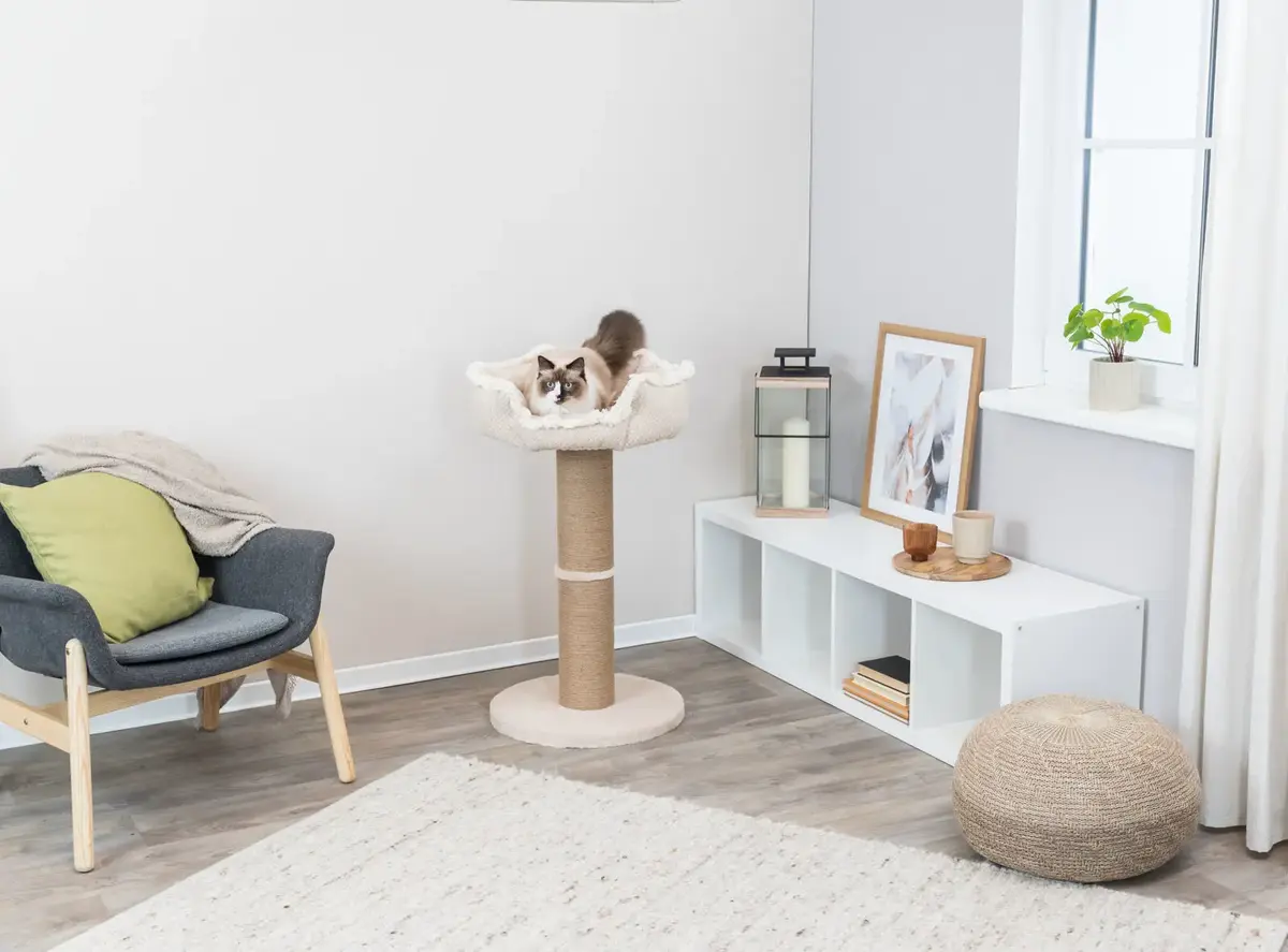 Cat scratching post Trixie 44716 Photo 6