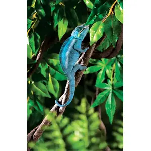 Mākslīgā liana Hagen Exo Terra Jungle Vine S terārijiem un rāpuļu mītnēm