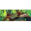 Hagen Exo Terra Jungle Vine S Photo 2