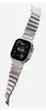 Band Nomad Stratos Band Natural Titanium Photo 2