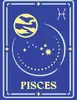 Ravensburger CreArt painting kit — Pisces (23735) Photo 2