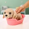 Moose Toys Little Live Pets My Really Real S2 Puppy Mini Buddy Photo 5