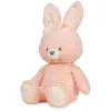 Плюшевый зайчик Spin Master GUND — 100% переработанный Photo 2