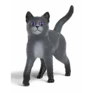Toy figure Schleich Karajan the tomcat from The School of Magical Animals series, collectible figurine