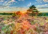 Пазл schmidt spiele Heath at Sunset 1000 Photo 2