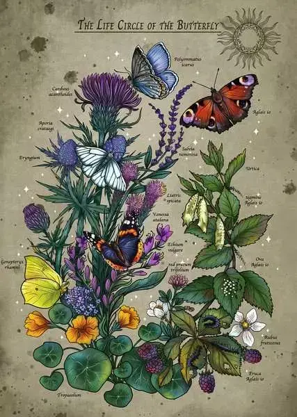 Ravensburger Circle of Life Butterfly — 1000 элементов Photo 2