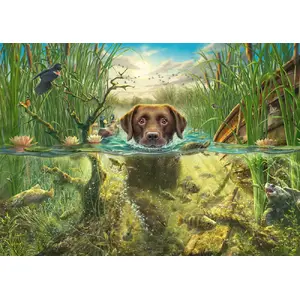 Пазл schmidt spiele Mark Fredrickson «Dog Love» — коричневый лабрадор в воде, 1000 деталей