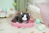 Zapf Creation BABY born My Kitten Cookie — аксессуары 43 см Photo 10