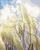 Ravensburger CreArt gleznošanas komplekts — Grass in the Wind 23611 Photo 2