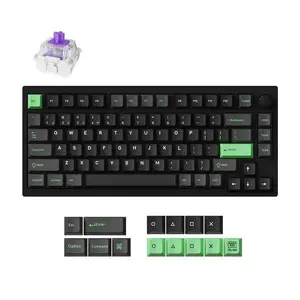 Mechanical keyboard Keychron P1 H-M1Z 75% wired & wireless USB, RF, Bluetooth 5.2, RGB backlight, black, battery up to 100 h, USB-C
