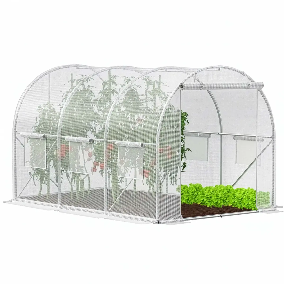 Greenhouse tunnel Springos GT0010 3×2×2 m Photo 2