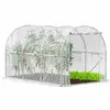 Greenhouse tunnel Springos GT0010 3×2×2 m Photo 2