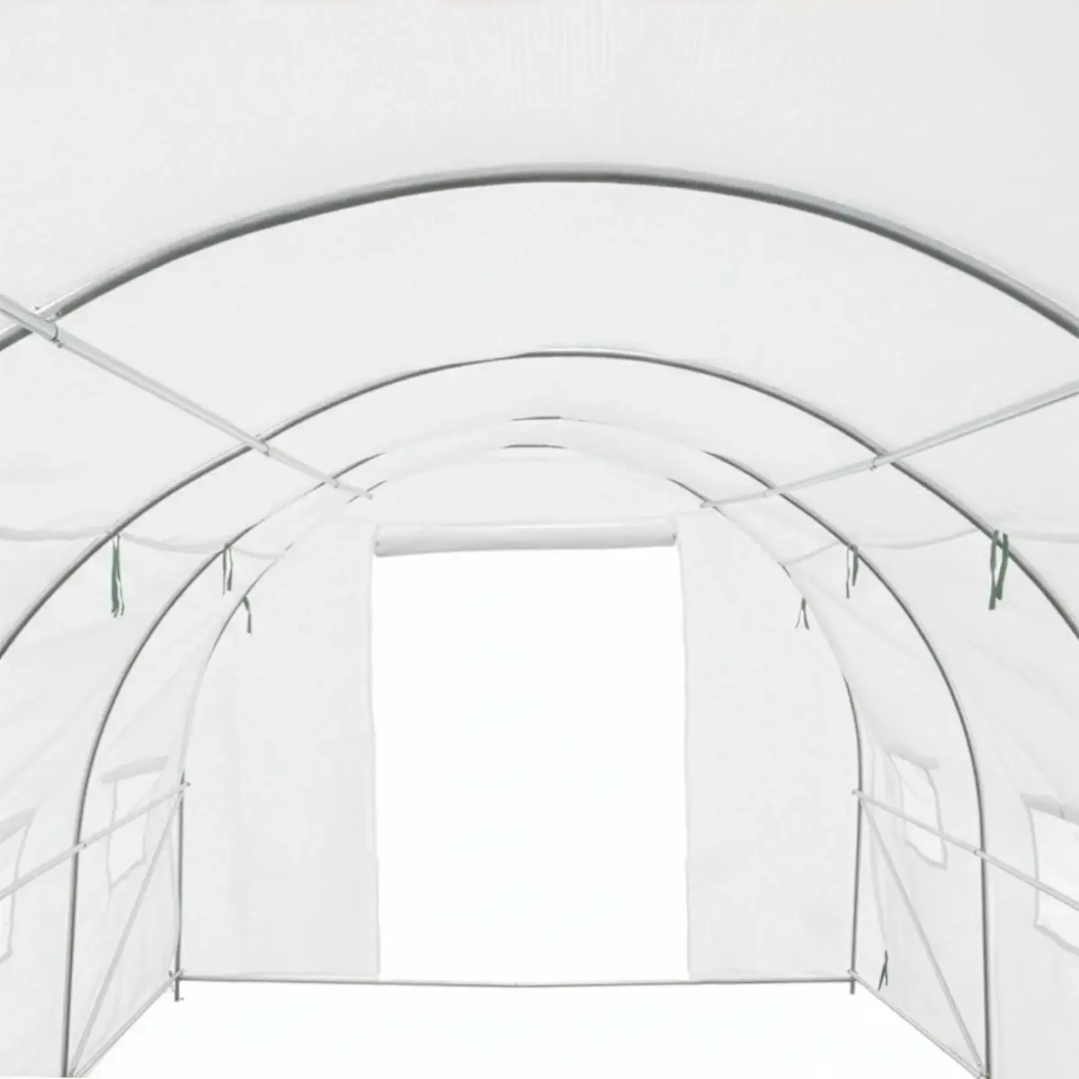 Greenhouse tunnel Springos GT0010 3×2×2 m Photo 6