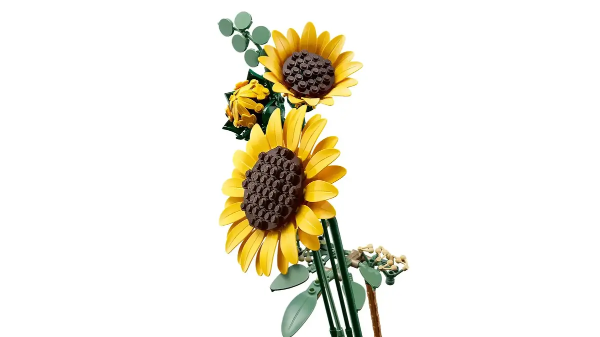 LEGO Botanicals 11502 Bouquet of Sunflowers Photo 6