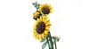 LEGO Botanicals 11502 Bouquet of Sunflowers Photo 6