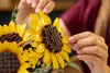 LEGO Botanicals 11502 Bouquet of Sunflowers Photo 15