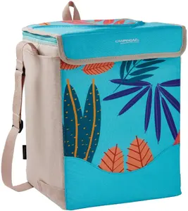Portable Campingaz Ethnic Minimaxi 19L Refrigerator / Cooler, model 2227105, 19‑litre capacity
