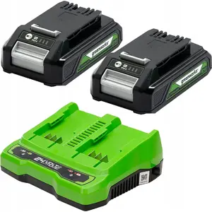 Cordless Battery Kit GreenWorks 24V 2x 4Ah + Dual Charger GSK24B4X