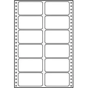 Etiķešu loksnes 89 x 48,8 mm, A4, divrindu, baltas, 12 etiķetes loksnē, iepakojumā 25 gab., priekš punktmatricas printeriem