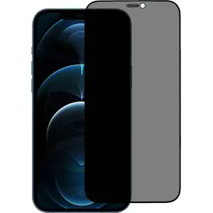Защитное стекло Privacy для iPhone 12 / 12 Pro 6,1, No name, закалённое стекло
