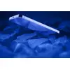 Sourcing Tempered Glass for iPhone 15 Plus Photo 3