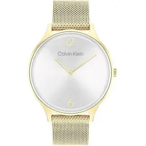 Wrist Watch calvin klein Timeless Mesh 25200003 — women's analog watch, mesh bracelet