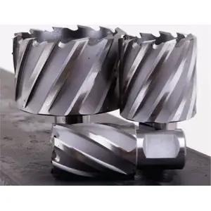 Drill Bit Evolution HSS Weldon 50 mm (EVO-WT44L)