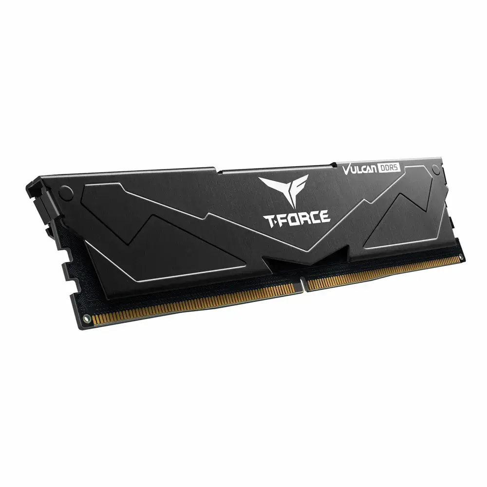 Team Group FLBD516G6000HC38A01 DDR5 16 GB ECC Photo 3