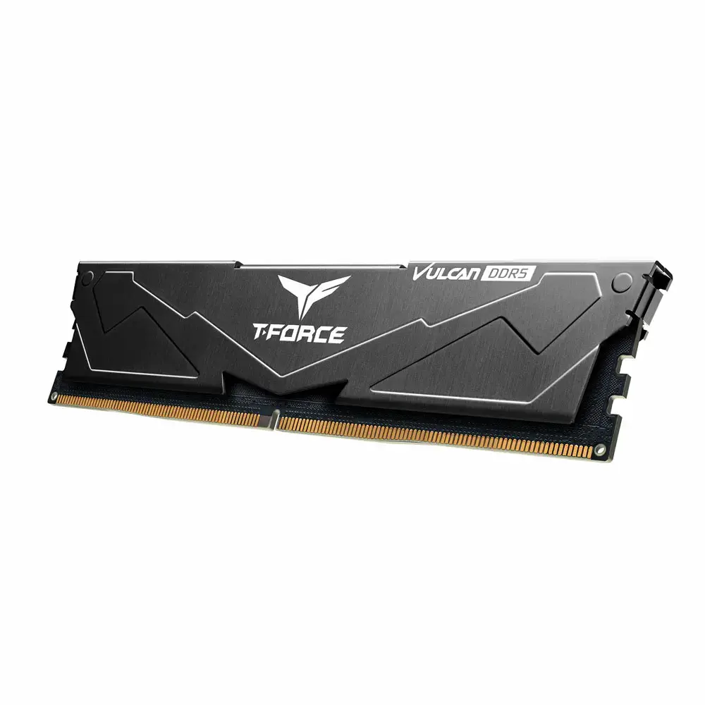 Team Group FLBD516G6000HC38A01 DDR5 16 GB ECC Photo 4