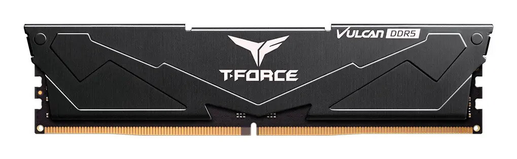 Team Group FLBD516G6000HC38A01 16 GB DDR5
