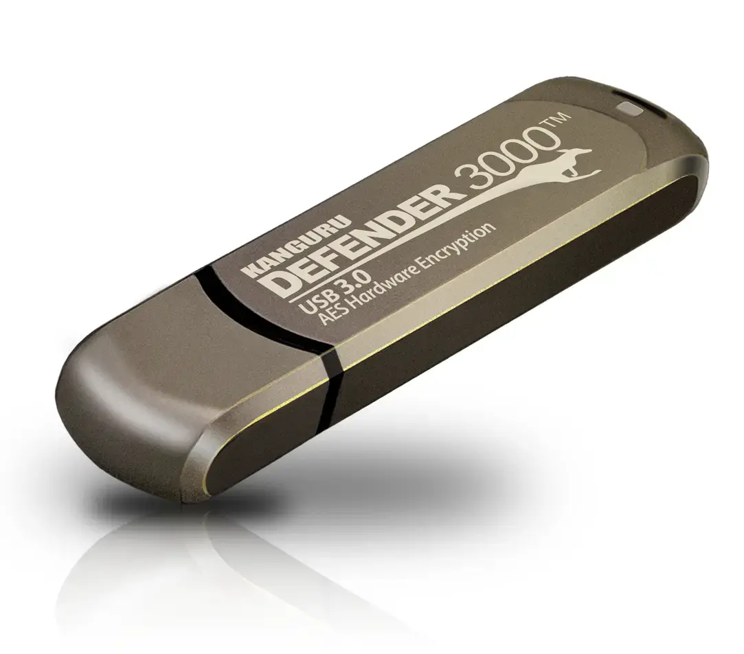 iStorage Kanguru Defender 3000 — Защ. 16 ГБ USB 3.2 Photo 3