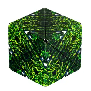 Magnetic puzzle Shashibo Wild Series Shapes by PartyDeco — 61×61 mm, for ages 8+