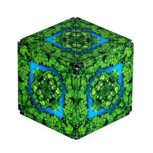 Магнитный пазл-куб No name Shashibo Wild Series Shapes, 61×61 мм, 8+