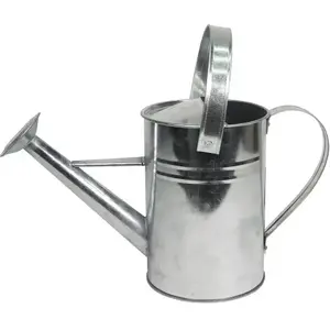 Watering Can Home It 2 L with Sprayer Galvanized — Home It 91502
