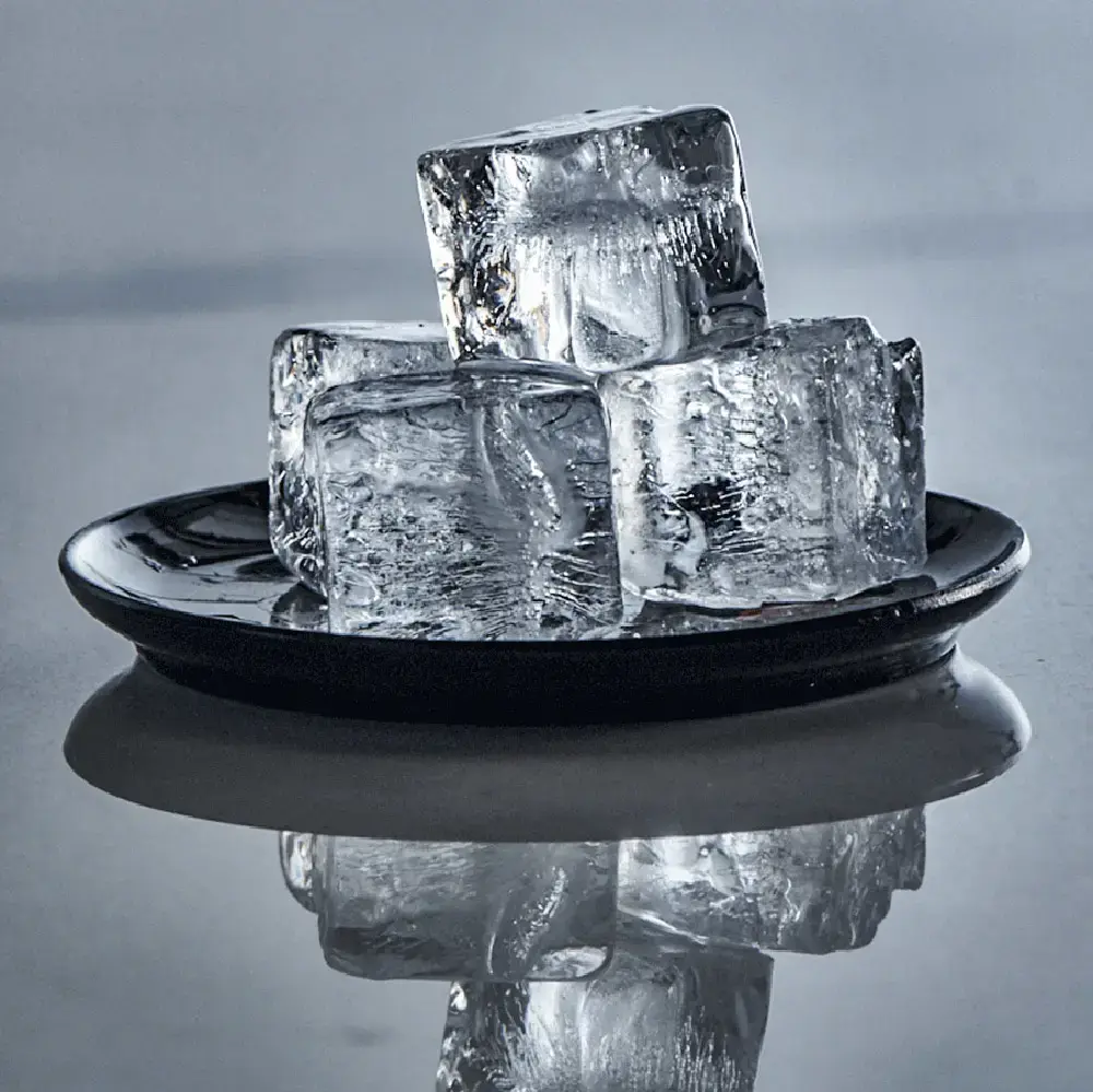 Ice tray Lurch 00240700 Photo 3