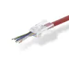 Соединитель RJ45 cables to go CCGB89331TP Photo 2