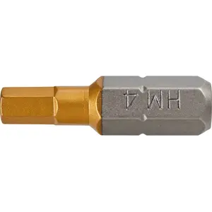 Screwdriver bits GRAPHITE 57H970 HEX 6 x 25 mm, 2 pieces