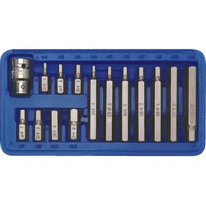 Screwdriver bit pack Vorel 66720 — 15 pieces, assorted screwdriver bits