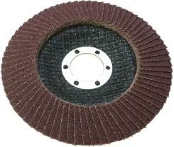Leņķa slīpmašīnas aksesuārs Proline 44856, disks