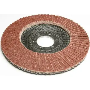 Flap disc Silver 125 mm P40 convex abrasive 10052